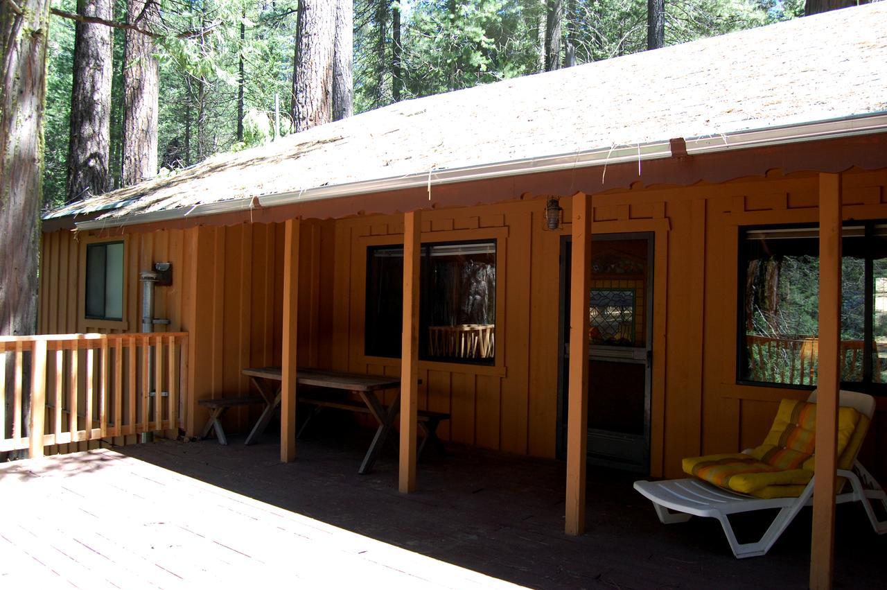 9S Pine Cabin South Wawona Екстериор снимка